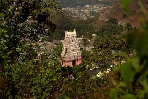 Simhachalam - Simhachalam, near Visakhapatnam is one of the most important Vaishnavite shrines of South India. It has Sri Varahalakshmi Narasimha Swamy as the presiding deity. Simhachalam temple is known as the second richest temple (after Tirupati) earning a revenue of Rs. 520 million.