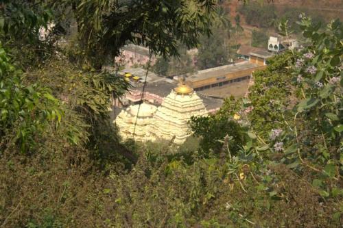 Simhachalam - The deity at Simhachalam, the lion-man incarnation of Lord Mahavishnu appears like a Sivalinga when covered with sandalwood paste. The original shape of the deity in the tribhanga posture has two hands with the head of a lion on a human torso