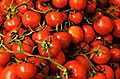 The Red Tomatoes Saves us From Cancer - Take daily some tomatoes