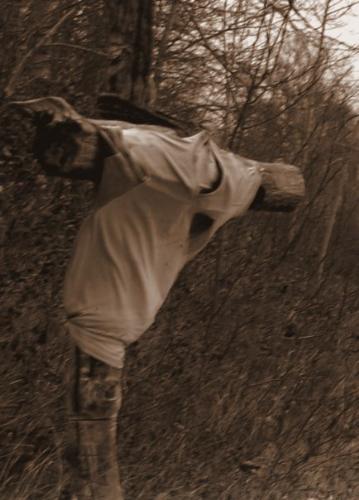 I found this random thing near a lake. - I discovered this when I was taking photos at a lake in Alberta. I thought it was pretty cool. I took a snap shot and I edited it with Picasa.  Please tell me your opinion. Constructive Criticism is better than no feedback at all.