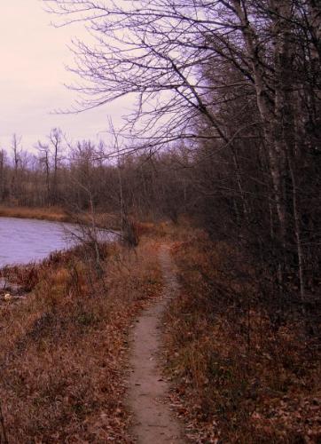 I windy path near a lake. - I took this shot in a lake in Alberta. I thought it was cool. I wasn't happy with the quality of the photo I took. Please let me know what you think.  I edited this one in picasa