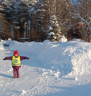 Winter in Sweden - Cold day in February in the north of Sweden