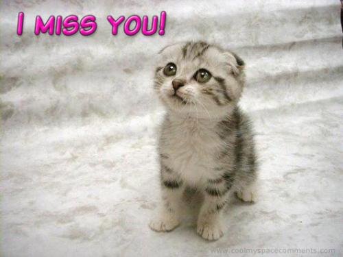 MissingKitty - I miss many person around me. i m not having special relationship with them but still miss them
