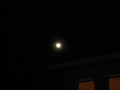 moon - moon...