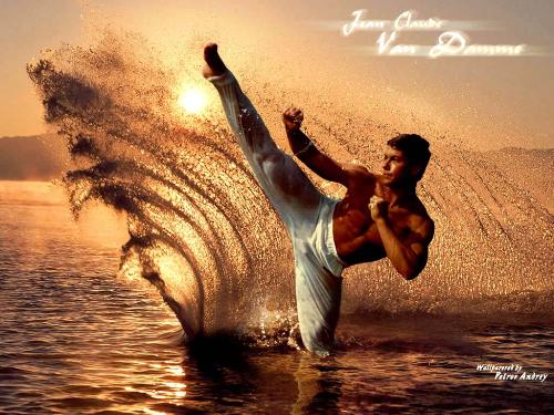 wave kick . the perfect ultimate kick !!!!!!!!! - ya  its my alltime favourite karateka .  as I am also one of the toughest karate guy .   WEll dudes , I think u must have known about jean claudde van damme.  But if not than listen, and I am sure that After knowing him , It will be your's favourite .   jean claudde van damme is a belgian martial artists and he was practicing karate from the age of only 6 yrs ? unbelievable.   ANd also he is a soldier and kick boxer .   He has also learned kickboxing and taekwondo !! WONDERS .   He has got the title of THE ULTIMATE PERFECT KICKER !!!! by his fans.   His and My karate style is same - The LEGENDARY SHOTOKAN KARATE . !!!!!!!!!!!!!!  and do u know ? ??   VAN DAMME is married 5 times .   2 marriages with his current wife gladys portugues  HE has 3 childrens   SO LUCKY PERSON   I WISH I WERE THE PERFECT MARTIAL ARTISTS .   His coming films are superhits .   BLOODSPORT 1   LION HEART   and many more...........  Just go and fetch the CDs from your nearest CD retailer .!!!!!!!!!!!!!!!!!!!!!!!!!