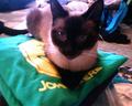 My baby - This is my baby Coda.