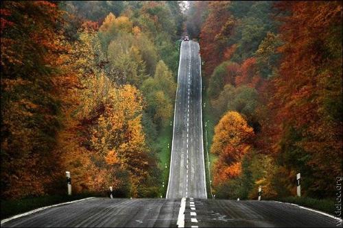 exceptional picture - pic 1