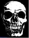 Flashing Skull - I have always been fasinated by skulls..don't know why but I like them. Flashing Skull - I have always been fasinated by skulls..don't know why but I like them.