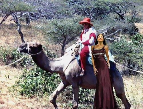 Dawn and camel - Dawn dressed up for the bloggie Oscars after arriving on a camel...