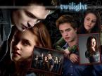 Twilight - movie and book