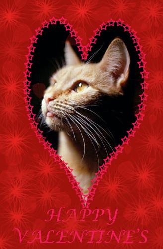 My Valentine Card For You - image of a valentine card