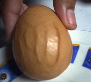 egg - magic egg. wonderful.