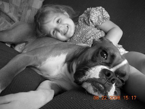 Lex and Bandit - Laying on the couch together:D