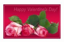 Happy Valentine's Day! - Valentine Roses!