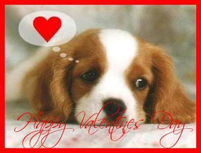 Happy Valentine's Day! - A cute lil Valentine Puppy!