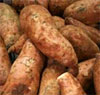 Sweet Potatoes - Sweet Potatoes look like the pancreas and actually balance the glycemic index of 
diabetics.
