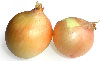 Onions  - Onions look like the body's cells. Today's research shows onions help clear waste  materials from all of the body cells. They even produce tears which wash the epithelial layers of the eyes. A working companion, Garlic, also helps eliminate waste materials and dangerous free radicals from the body.