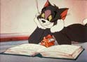 The ever best pair!! - The ever best pair in cartoon shows is 'Tom& Jerry'. Its not only liked by kids but all age groups of people like watching & giggling away.Tom & Jerry is not a show of rivalry between a cat (Tom) & mouse (Jerry) but its also entertaining with the blows & smashes given by Jerry...