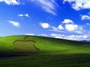 xp - xp wall