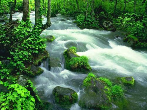i love nature - thats beautiful, isn't it?
