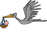 A stork bringing a baby - A stork bringing a little bundle of joy! A stork bringing a baby - A stork bringing a little bundle of joy!
