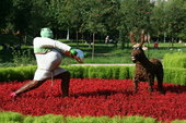 Shrek - Shrek & Donkey in the field