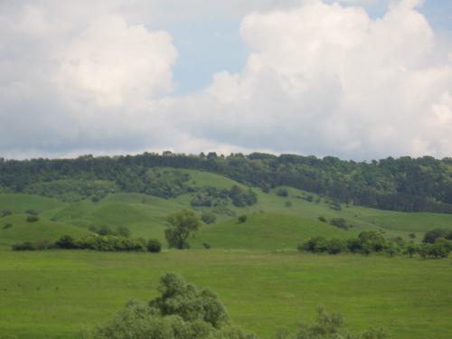 hill - hiills in green