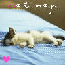 Nap - What's better then a little catnap?