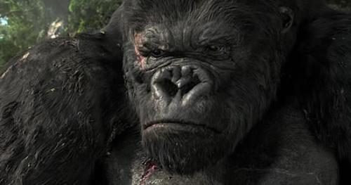 king kong - He's a strong man, with full of love and affection.