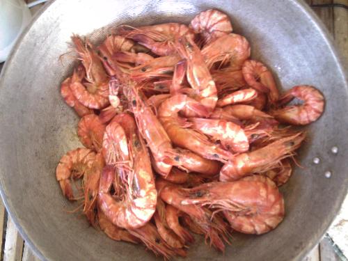 Seafood - Yummy shrimps.