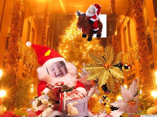 christmas - He took photo this christmas