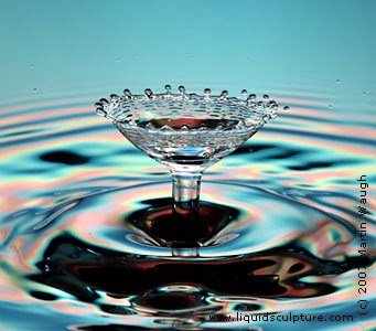 Water - 'Water has become a highly precious resource'