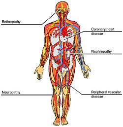 our body - our body.. healthy