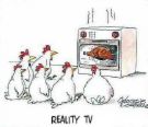 I'm hooked! - chickens watching tv