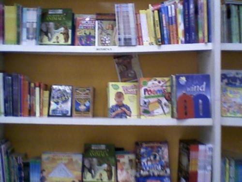 library books - Books in the shelves.