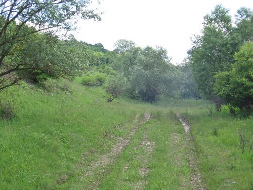 road - road on hills