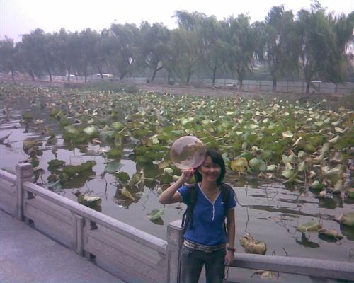 DaMingHu -  I do't know how to describe my mood at that time. Breeze , lotus leaves,lake...everthing is so beautiful.