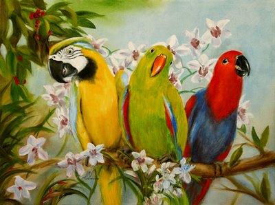 Parrot - 'Great color combination'