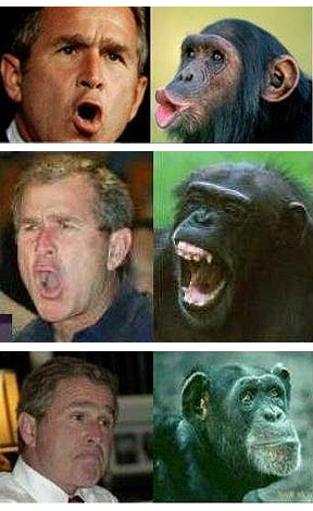 Racist images comparing Bush to a monkey - If this were Obama, there would be riots in the streets over the racism, but it&#039;s just fine to do it to Bush