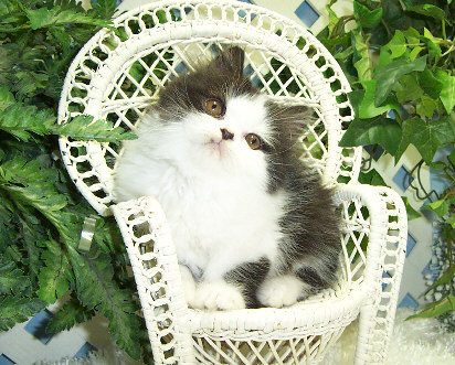nice pose - Now ready for a snap...SMILE!!!