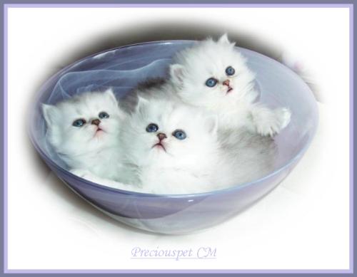 Nice place - We can sit anywhere!!!!!!!!