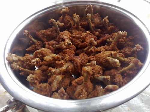 eating food - drumstick chicken