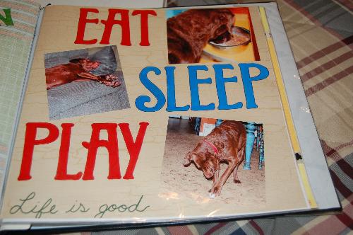 scrapbook page - one of my dog's pages
