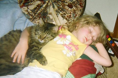 sleeping - Brooke and Shop Kitty taking a nap
