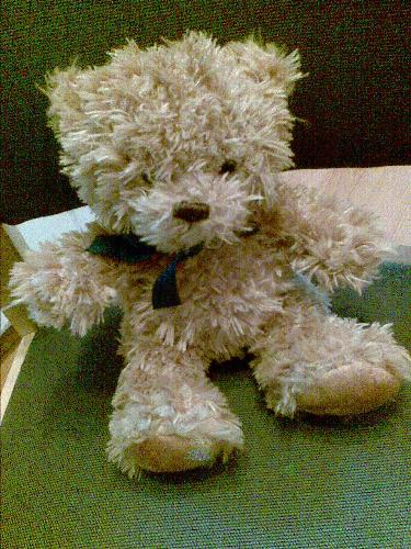 Alfie bear - Alfie bear. I've adopted him now.