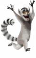 Madagascar - I like to move it move it