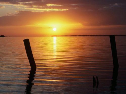 A new day - A day of hope or despair.A welcome day or a detested day.A day of sorrow or happiness.
It is thrust upon you in many forms.What do you like to say about it?
A new day - A day of hope or despair.A welcome day or a detested day.A day of sorrow or happiness.
It is thrust upon you in many forms.What do you like to say about it?