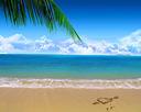 beach - tropical beach