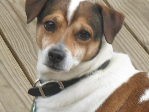 Skeeter - my best friend