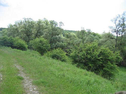 hill - uphill